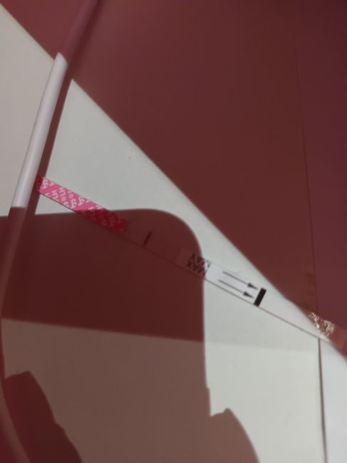 Buscadoras Enero 2023 4