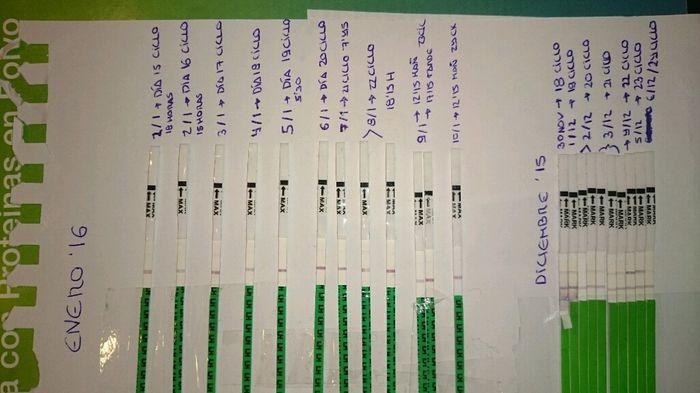 Buscadoras con síndrome de ovario poliquístico (sop) - 2