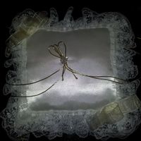 Cojin de alianzas