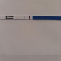Inseminación artificial ¿cómo os fué? - 1