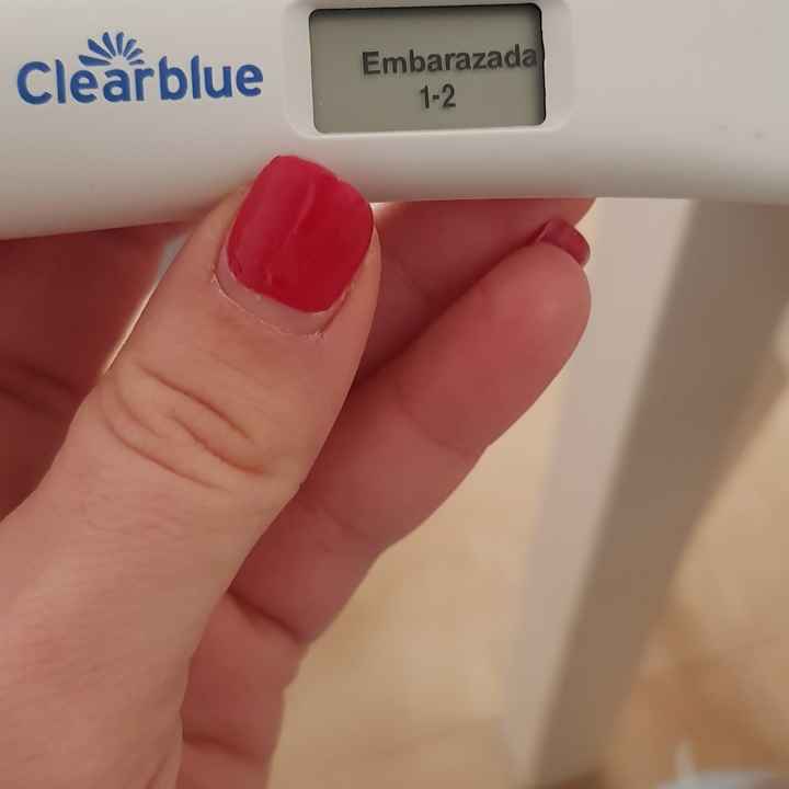 Buscadoras Enero 2021 🌼💞🤰🏼 - 1