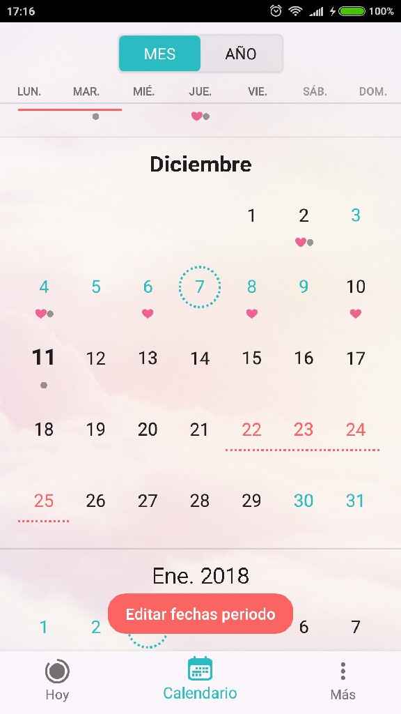  Buscadoras diciembre 2017 - 1