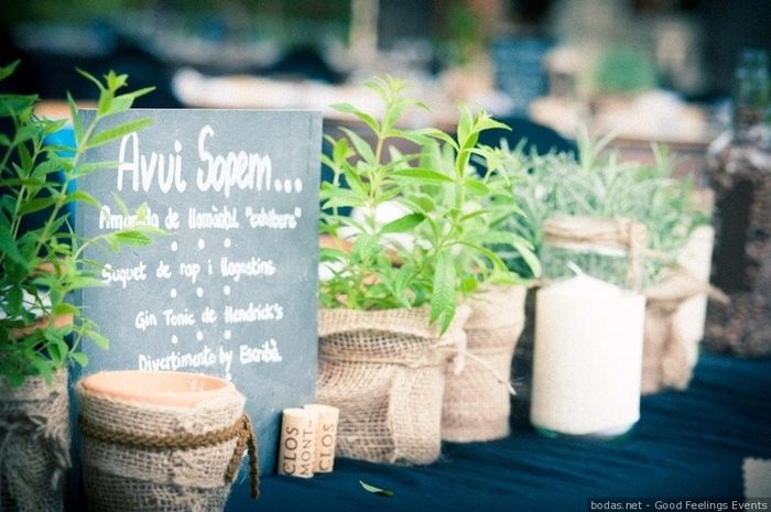 ¡Di sí a regalar plantas en la boda! 🌵 6