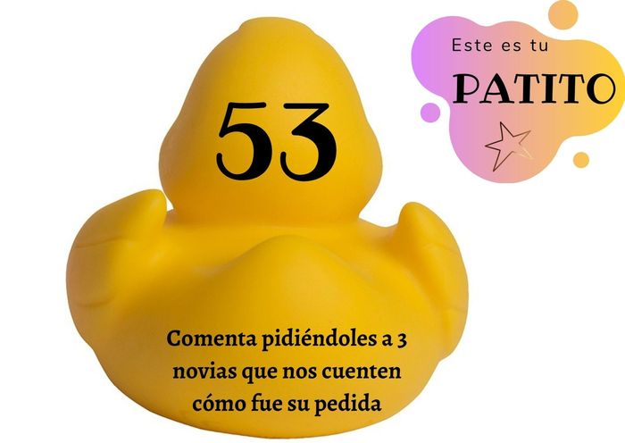 JUEGO: ¡A pescar patitos! 🐥🐤 10