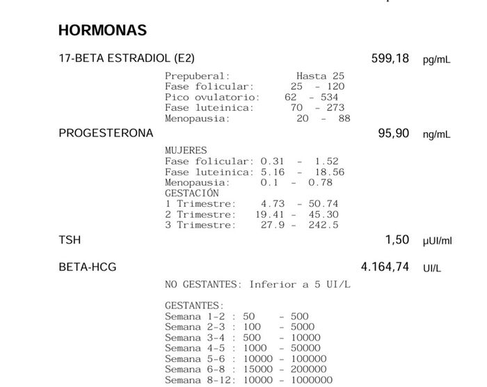 Mamás de Abril 2026 1