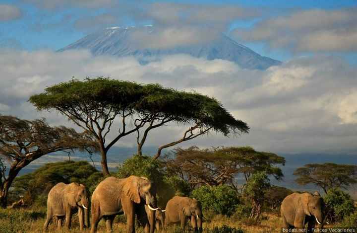 Novi@s Kenia 2020: ¡Preséntate! - 1