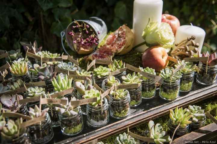 ¡Di sí a regalar plantas en la boda! 🌵 - 2