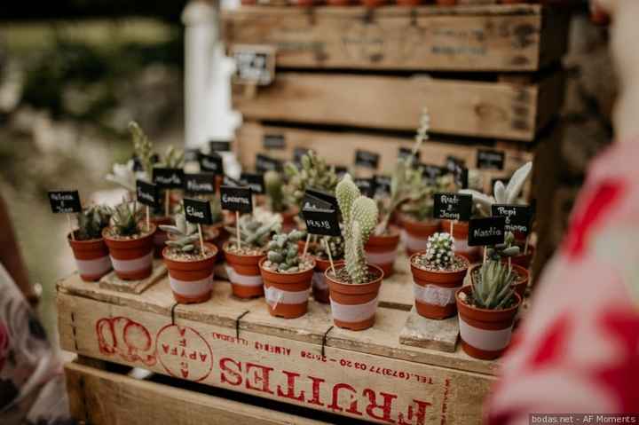 ¡Di sí a regalar plantas en la boda! 🌵 - 5