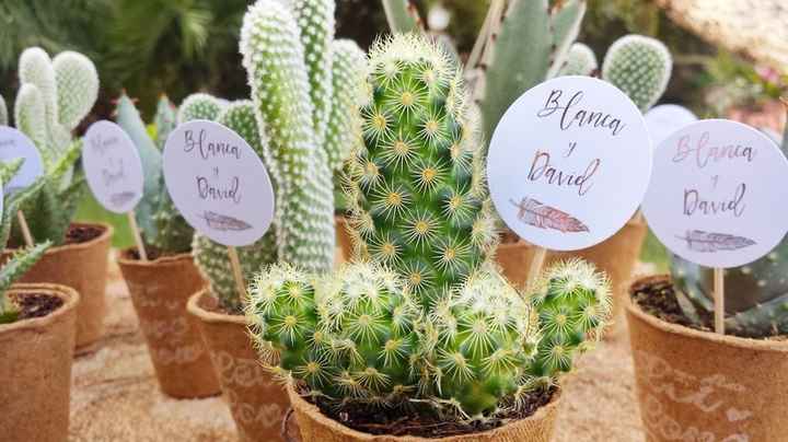 ¡Di sí a regalar plantas en la boda! 🌵 - 6