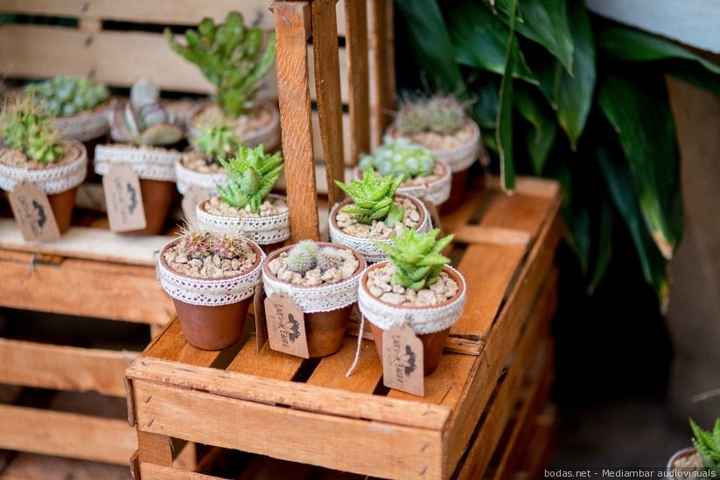 ¡Di sí a regalar plantas en la boda! 🌵 - 7