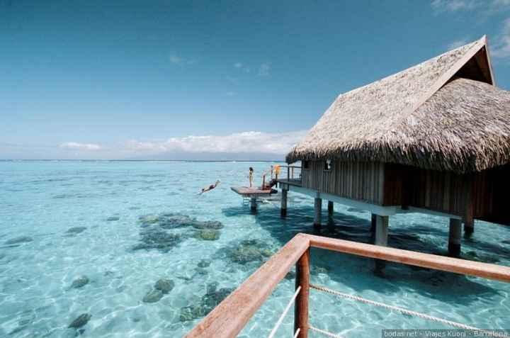 ¿Sueñas con una luna de miel sin salir de la playa? 🌴☀️🌊 - 1