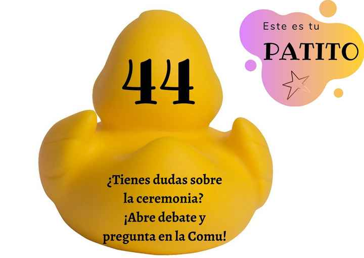 JUEGO: ¡A pescar patitos! 🐥🐤 - 1