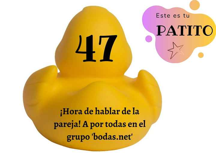 JUEGO: ¡A pescar patitos! 🐥🐤 - 1