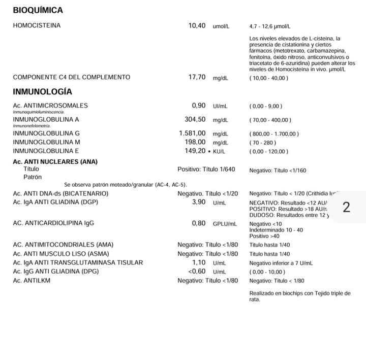 Buscadoras más de 1 año - 2022 - 1