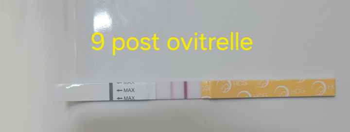 ☀️ Buscadoras agosto 2025 ☀️ - 1