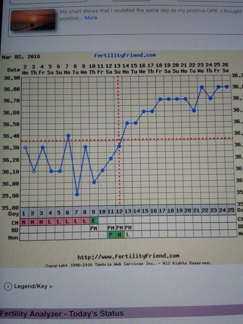 Decálogo de las gráficas de temperatura basal - 2