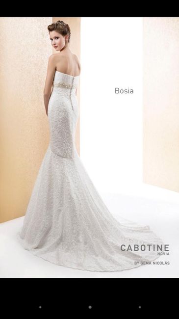 Novias cabotine - 3