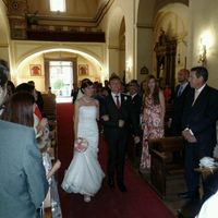 Novias cabotine - 2