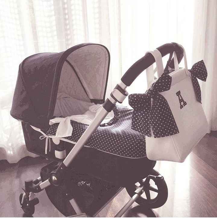 Duda colores bugaboo - 1