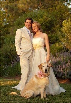 Collares perrunos - 16