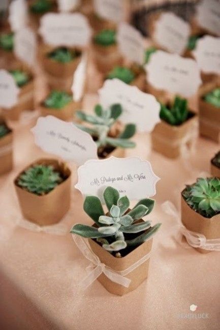 detalles