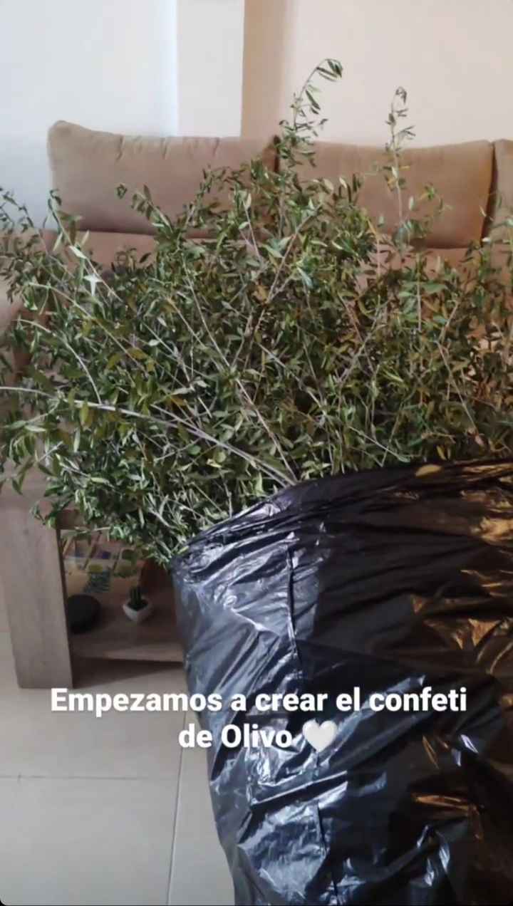 Limpiar las hojas de olivo - 1