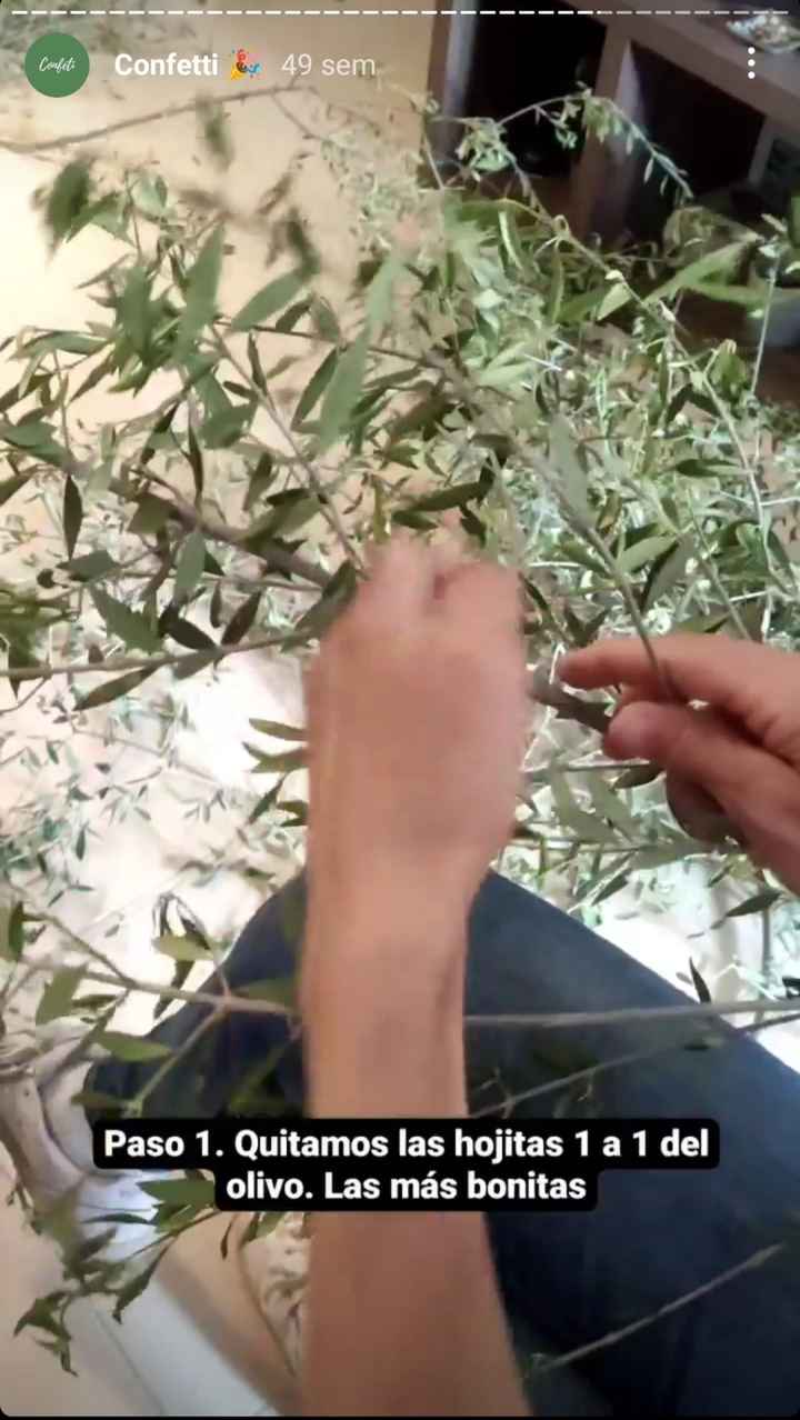 Limpiar las hojas de olivo - 2