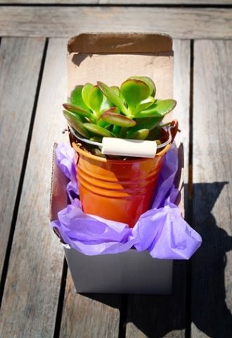Detalles ecológicos