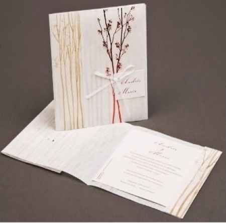 Invitación