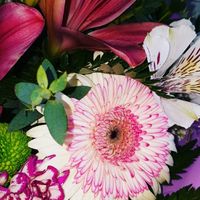 Gerberas en el ramo de novia - 5