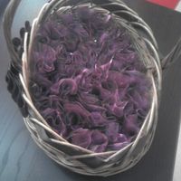 cestita