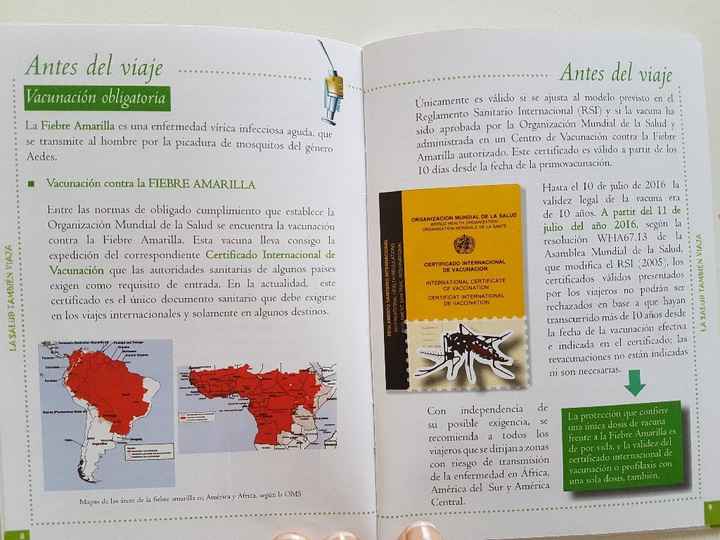 Consejos sanitarios Luna de Miel - 1