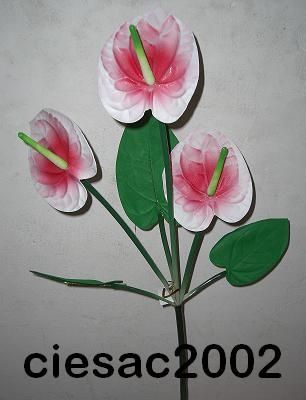 Flor de Anturio o Lengua de Fuego