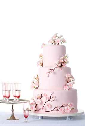 Tarta de boda para boda en rosa
