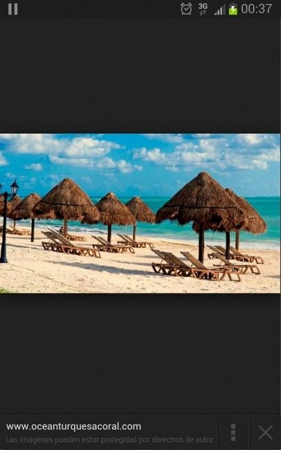 Luna de miel en Riviera maya!  - 7