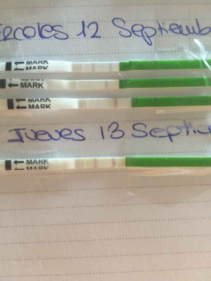 Buscadoras en septiembre! - 1