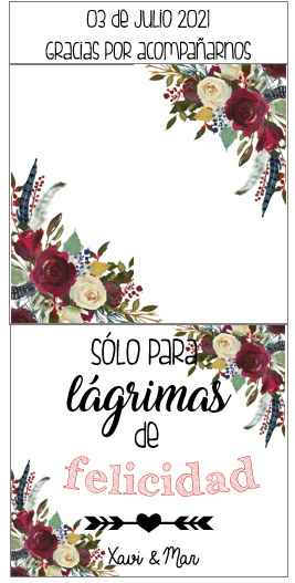 Lágrimas de felicidad - 1