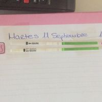 Buscadoras en septiembre! - 3
