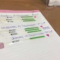 Buscadoras en septiembre! - 1