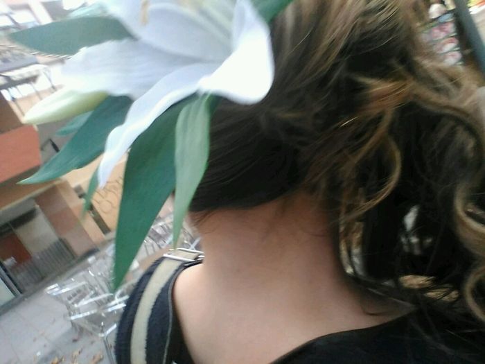 Me gusta hacerlo todo yo... - 1