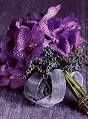 ramo morado