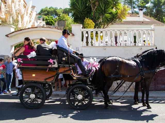 caballos