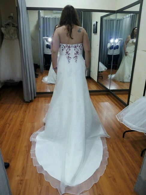 Por fin tengo vestido - 2