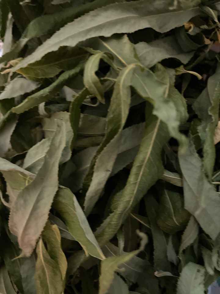 ¿Arroz, pétalos, flores silvestres o un pupurri? - 1