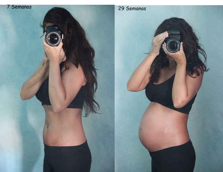 Evolucion