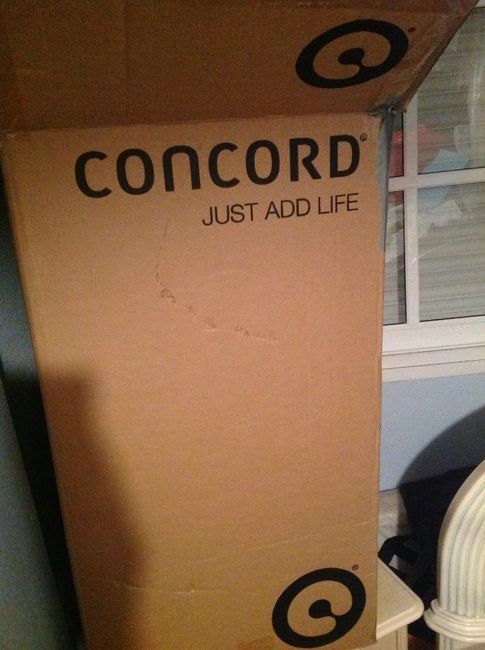 Concord neo