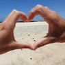 Carolina