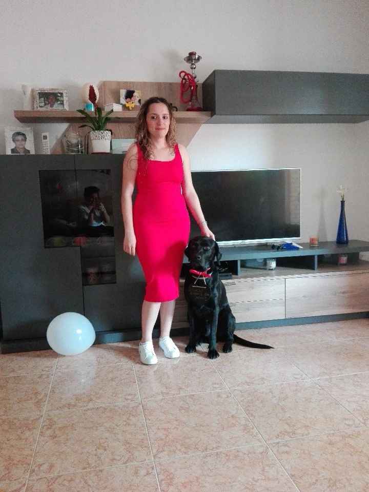 Pedida al chico - 1