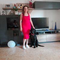 Pedida al chico - 1
