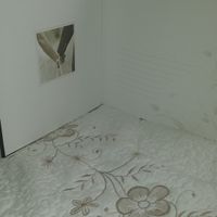 Os gusta mi album de fotos chicas? - 2